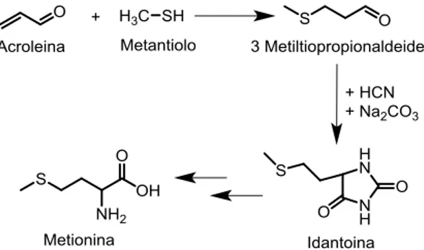 Fig. 1.15 Processo di sintesi della metionina dall’acroleina