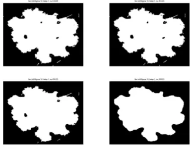 Figura 3.5: Immagini del nevo segmentato con valori ssati σ = 10, 4t = 1 e 8 itera- itera-ione interna, al variare di ν = 6, 5025, 65, 025 , 650, 02 , 6502, 5, in ordine scorrendo le immagine orizzontalmente