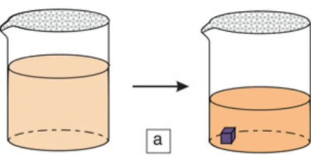 Fig. 2.11 Crescita in soluzione tramite   evaporazione del solvente. Con 