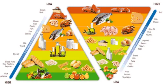 Figura 12 – La doppia piramide alimentare e ambientale 37