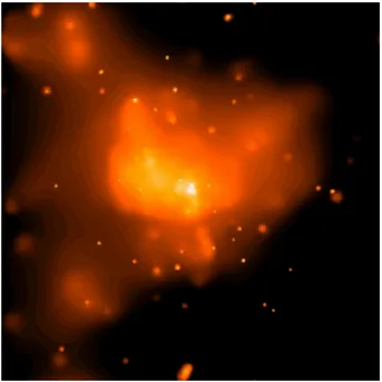 Figura 2.2: Emissione nella banda X del gas caldo presente nella regione centrale della Galassia