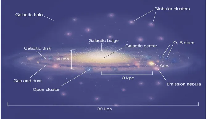 Figura 2.1: Rappresentazione grafica delle varie componenti della Via Lattea. 