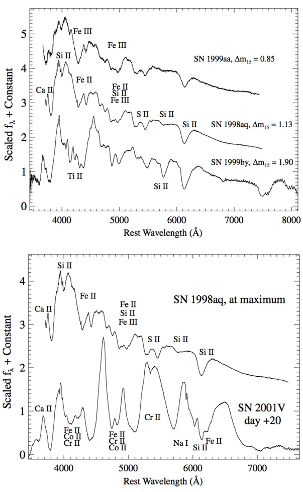 Figura 2.4. Spettri di SNe 1998aq, 1999aa, and 1999by al massimo in banda B; spettro di SN 1998aq al massimo in B-band , spettro di SN 2001V 20 giorni dopo il massimo in B-band