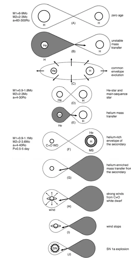 Figura 3.2. Evoluzione del canale WD+MS attraverso la fase di inviluppo comune, il trasferimento di elio fino all’evento esplosivo.