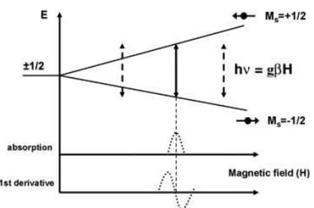 Figure 9-5: The absorption peak corresponds to the resonance condition for a single electron that not interacts  with the surroundings 