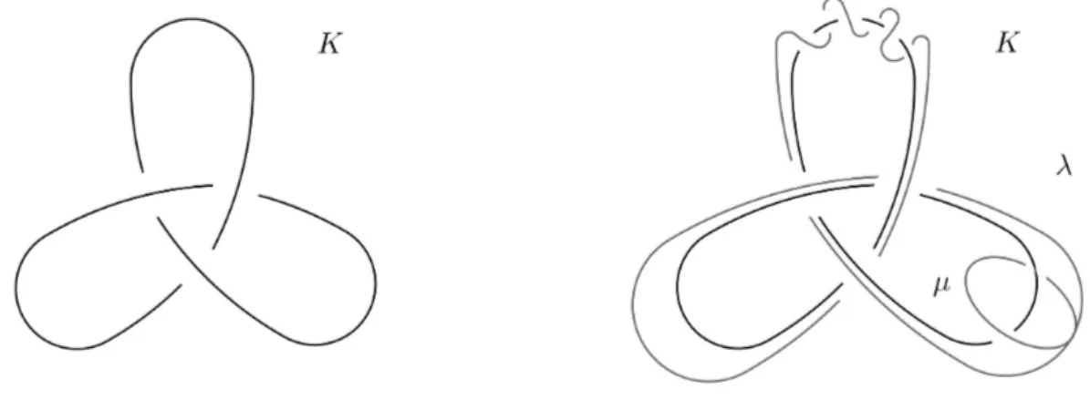 Figure 1.11: Meridian and parallel for the trefoil knot