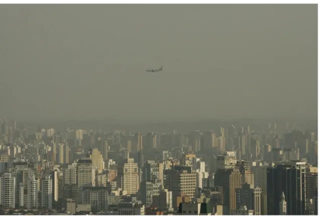 Figura 5 Vista di São Paulo oggi 