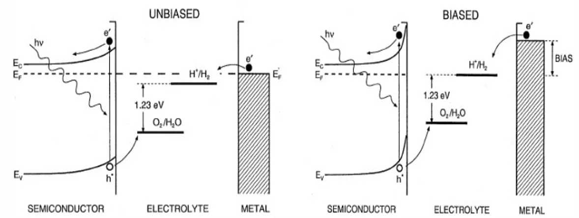 Figura 1.2: Meccanismo di fotoelettrolisi per entrambi gli elettrodi rappresentato in termini del modello a bande [2].