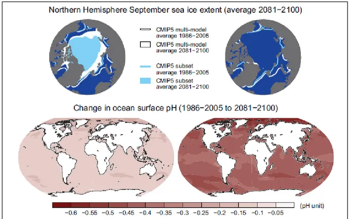 Figura 1.5  Estensione del ghiaccio marino dell'emisfero settentrionale a settembre e variazioni di pH  dell’oceano superficiale, cambiamenti rispetto al periodo 1986-2005 e 2081-2100 (IPCC 2013) 
