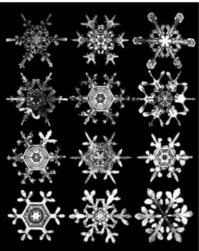 Figura 1: La fotografia ´ e stata scattata da W.A. Bentley. Essa rappresenta dei fiocchi di neve con evidenti propriet´ a di simmetria.