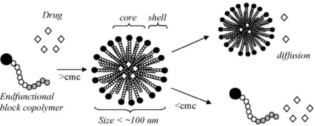 Figura 6: autoassemblaggio di copolimeri a blocchi in micelle 