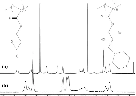 Figura 11: Spettri  1 H-NMR del PGMA (a) e PHMPMA (b) a confronto.