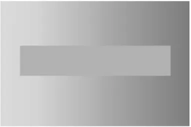 Figura 3: Il valore dei pixels nel rettangolo centrale ` e costante ma viene percepito dall’osservatore come di colore che cresce linearmente.