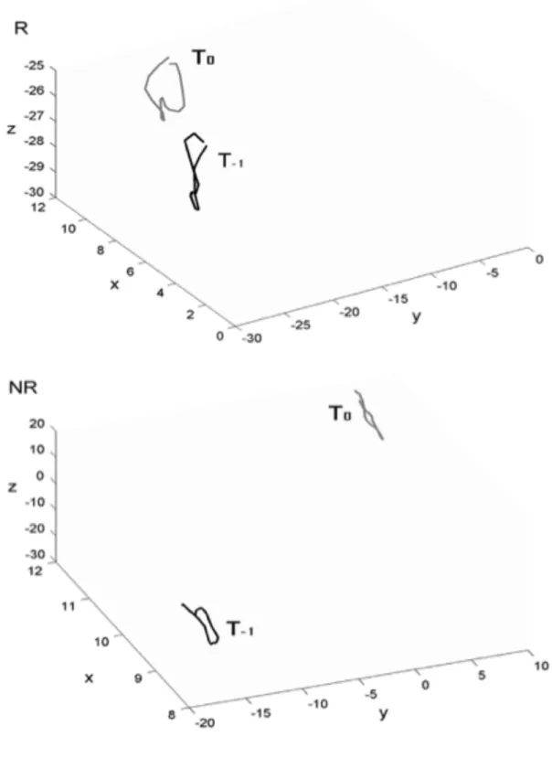 Fig. 2.5-Confronto tra le traiettorie 3D al tempo T 0  e T -1 .