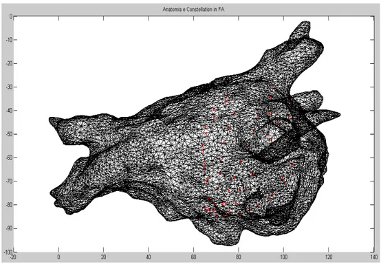 Fig. 28 Anatomia atriale ricostruita con all’interno il Constellation (I 63  elettrodi sono indicati con i punti rossi)
