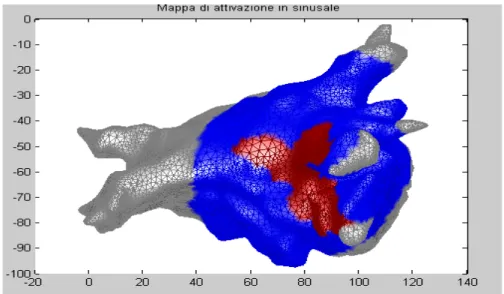 Fig. 47 Mappa di attivazione dell’atrio in sinusale. Il colore rosso indica le  zone dell’atrio che si stanno attivando