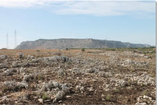 Fig. 16. Panoramica dell’area di riserva integrale Grotta Palombara, a nord i Monti Climiti.