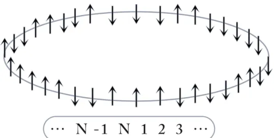 Figura 2.2: Catena di N spin con condizioni a bordo periodiche.