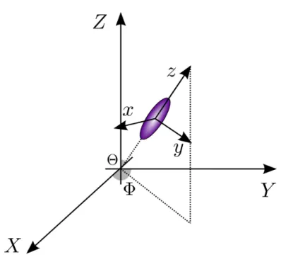 Figura 4.2: Rappresentazione di un ellissoide rispetto al sistema di riferimento del campione (co- (co-ordinate cartesiane maiuscole) e rispetto a se stesso (co(co-ordinate cartesiane minuscole); la forza addizionale fornita alle particelle attive ha come 