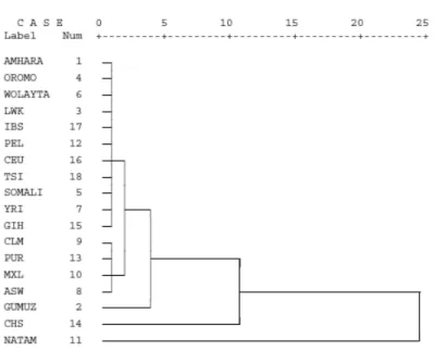 Figura 4.7: Cluster Analysis rispetto alla popolazione CHB