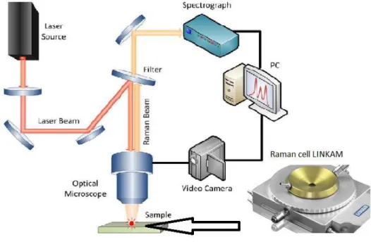 Figure 2.2 Scheme of Raman Spectrometer and image of Raman cell for in-situ investigations 