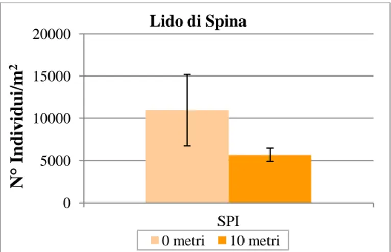 Figura 20: Valori medi di abbondanza (n=9) ± e.s. per ogni distanza (0, 10) considerata a Lido di Spina