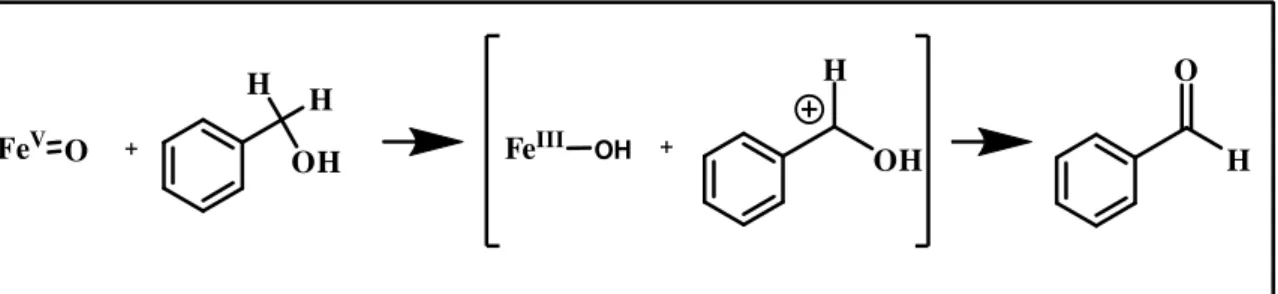 Fig. 5 ) Proposed mechanism for benzyl alcohol oxidation to benzaldehyde 