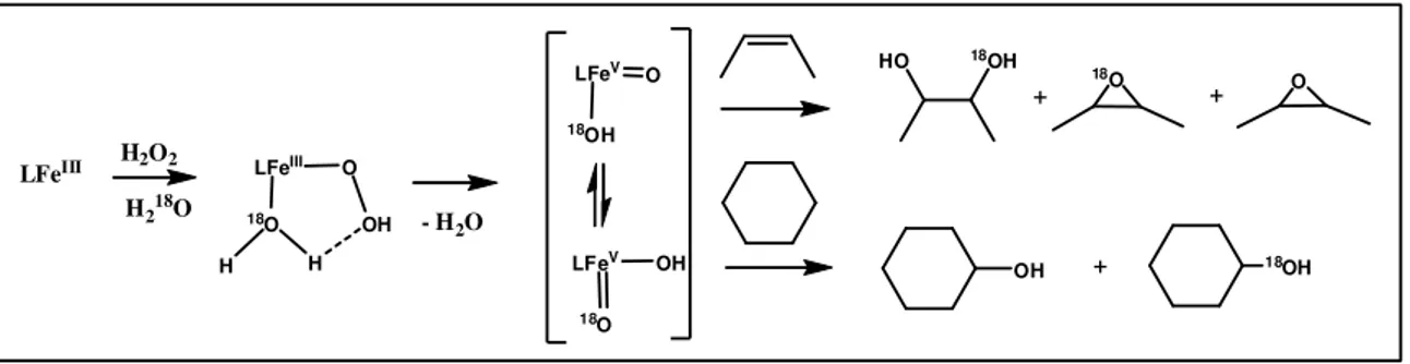 Fig. 3 ) Proposed mechanism for water assisted oxidation 54