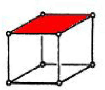 Figura 3.1: Vediamo la dimostrazione passo passo applicandola ad un cubo. Primo passo togliamo una faccia