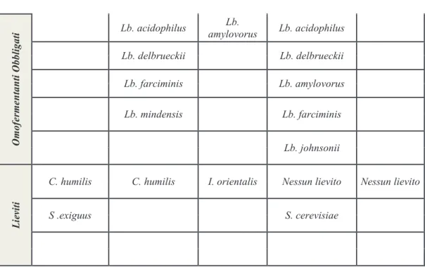 Tabella 1: Classificazione degli impasti acidi e indicazione della microflora caratteristica (De Vuyst,  P