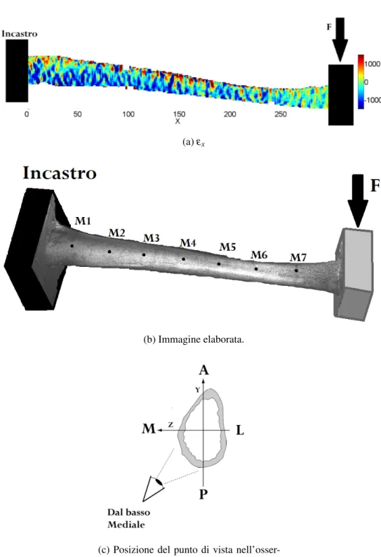 Figura 4.29: Osservazione dal basso dal lato del mediale, flessione a sbalzo P-A a spostamento imposto massimo.