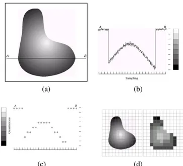 Figura 1.1: Fasi del processo di quantizzazione e digitalizzazione delle immagini digitali.