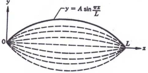 Figura 2.3: Primo modo normale di vibrazione