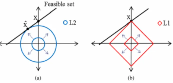 Figura 1.2: Geometrie delle norme L1 e L2