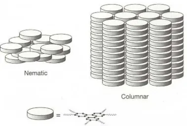 Figure 2.8: Schematic representation of a LC columnar phase.