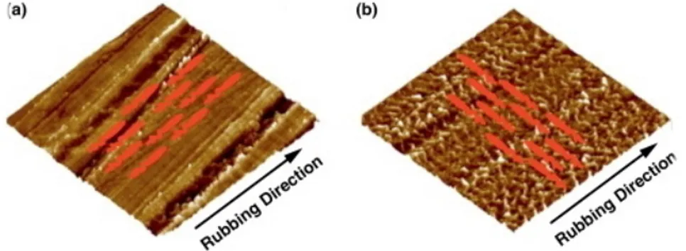 Figure 5.3: AFM height images of a rubbed film of PS with ¯ M w &lt; ca. 10000 (a) and ¯ M w &gt; ca