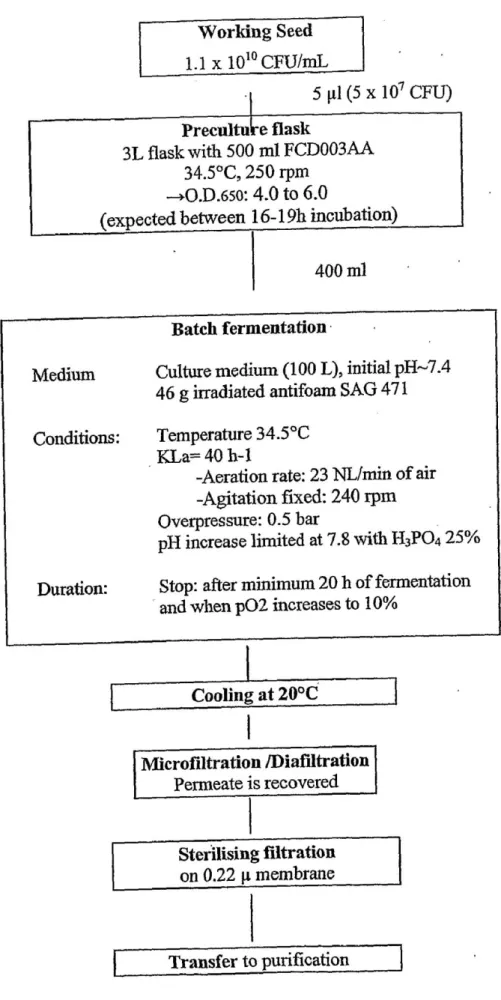 Fig. 2.5: Processo fermentativo del ceppo C. diphteriae PW8 tratto dal brevetto US 2008/0193475 (40) 