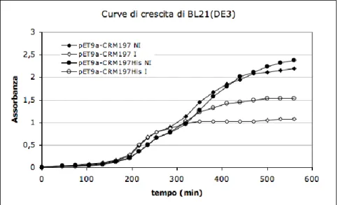Fig. 4.1 a: Curve di crescita del ceppo BL21(DE3); sono riportate le curve di crescita in presenza (I) o  assenza (NI) di induttore (IPTG)