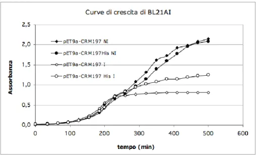 Fig. 4.1 b: Curve di crescita del ceppo BL21AI; sono riportate le curve di crescita in presenza (I) o assenza  (NI) di induttore (arabinosio)