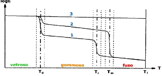 Fig. 1.7 Andamento del modulo elastico (E) in funzione della temperatura, per polimeri a differente struttura:  1-amorfa; 2-semicristallina; 3-reticolata