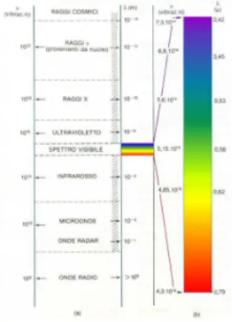 Figura 1: spettro della radiazione elettromagnetica