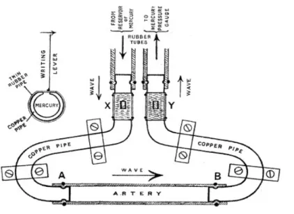 Figura 9: Dispositivo per la misurazione della velocità   d'onda in un'arteria umana isolata (Bramwell J
