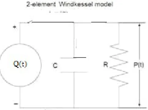 Figura 2: Analogo elettrico del  modello windkessel a due elementi