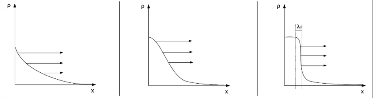 Figura 2: Variazione della densità in funzione della sola variabile spaziale. [3].