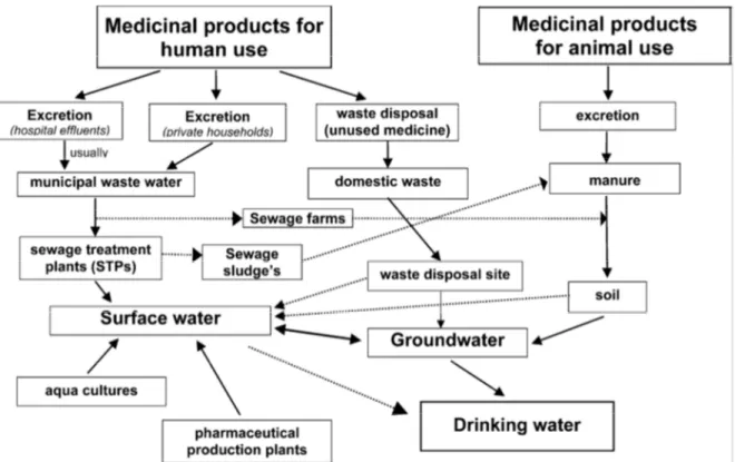 Figura 1.1. Schema illustrativo dei possibili pattern di contaminazione delle acque superficiali da parte  di molecole farmaceutiche (Heberer, 2002) 