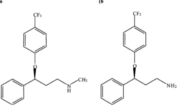 Figura  1.3.  Struttura  chimica  della  fluoxetina  (a)  e  del  suo  metabolita  norfluoxetina  (b)  (Brooks et al., 2003) 