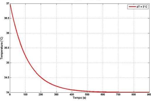 Figura 2.2: Grafico dell’andamento della temperatura in funzione del tempo.