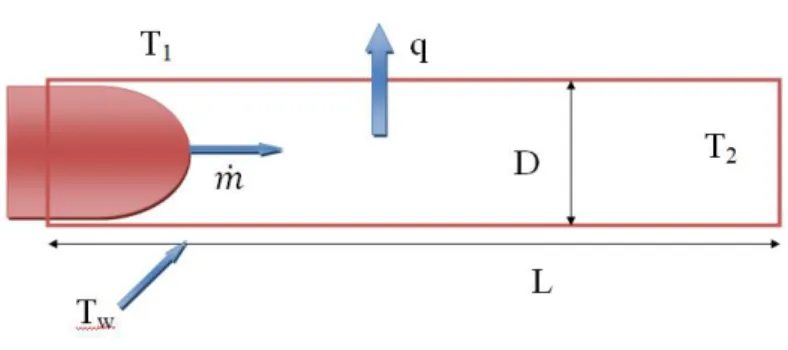 Figura 2.3: schema del raffreddamento per convezione della carotide. Il sangue, attraversando il vaso, subisce una diminuzione della temperatura (dovuta a T w ) da T 1 a T 2 .
