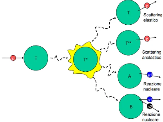 Fig. 2.1: Schema delle interazioni nucleari di un generico proiettile (p)   su di un nucleo bersaglio (T).