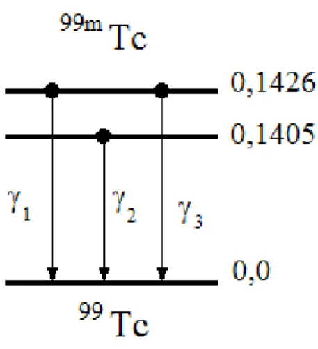Figura 1.1: Schema di decadimento del  99m Tc. Il  99 Tc invece decade -  in  99 Ru ( Rutenio ), ma con un tempo di  dimezzamento di 2,13·10 5  anni, pertanto a fini di questa tesi verrà  considerato come un isotopo stabile.